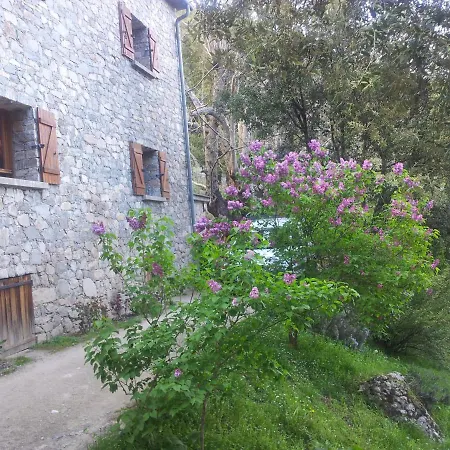 Bed & Breakfast D'hote 