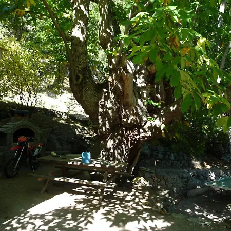 D'hôte 