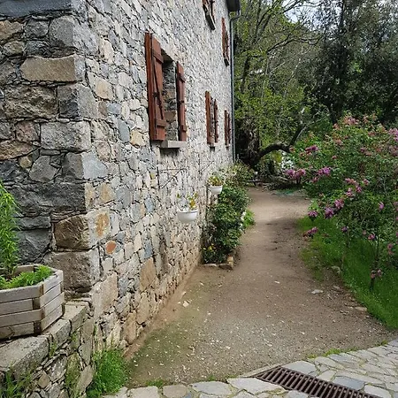 D'hôte 