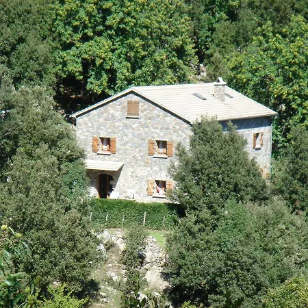 Bed and Breakfast D'hote 