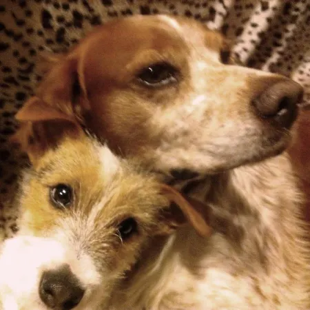 Nocleg ze śniadaniem D'hote 