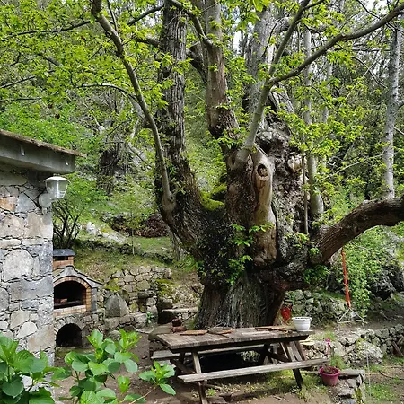 Nocleg ze śniadaniem D'hote 