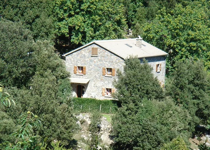 Bed & Breakfast D'hote 