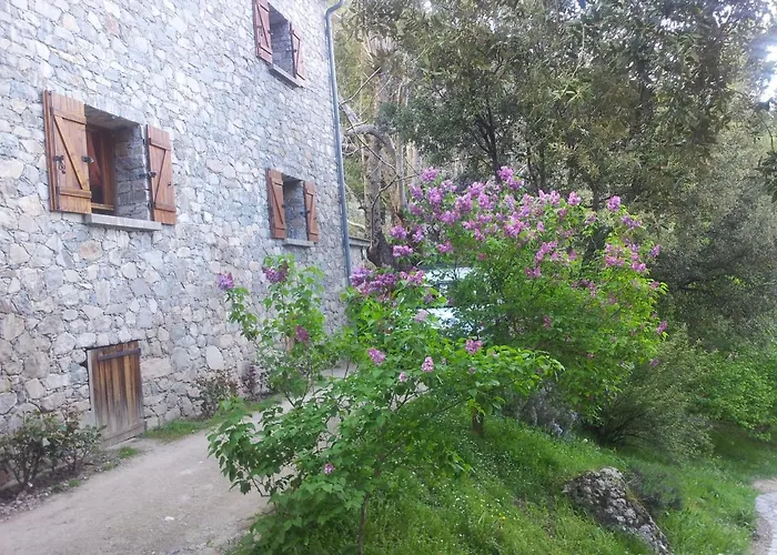 Bed & Breakfast D'hote 