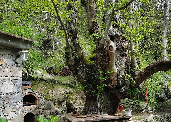 Bed & Breakfast D'hote 